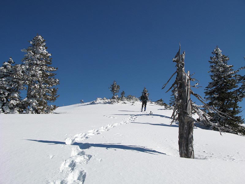 huehnerkogel